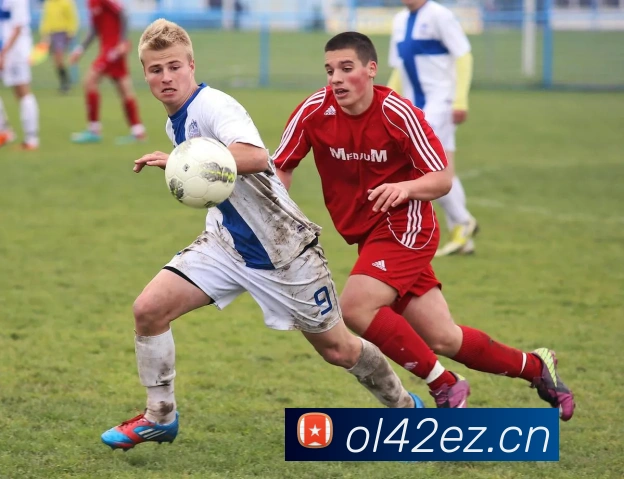 星空体育官方网APP 高清赛事图